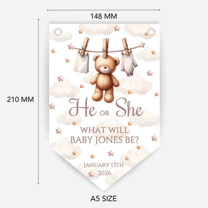 Cute Teddy Bear Gender Reveal Bunting - B188