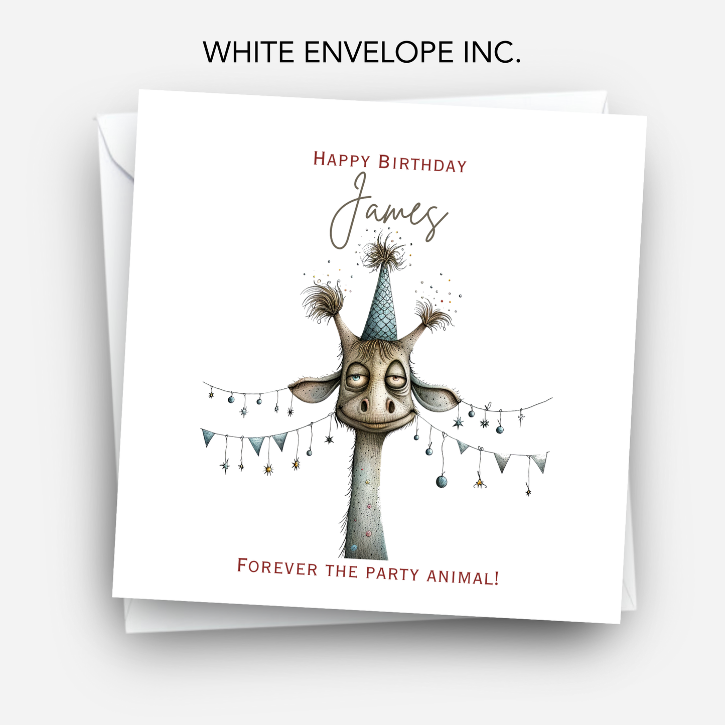 Fun Giraffe Birthday Card - C572