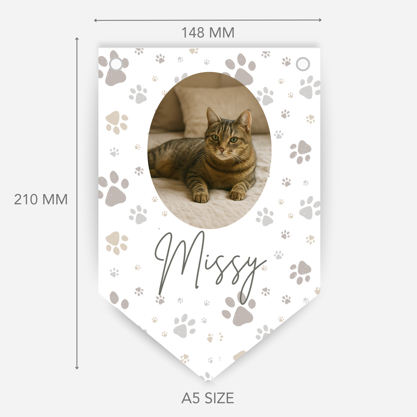 Cat Birthday Photo Bunting - B172