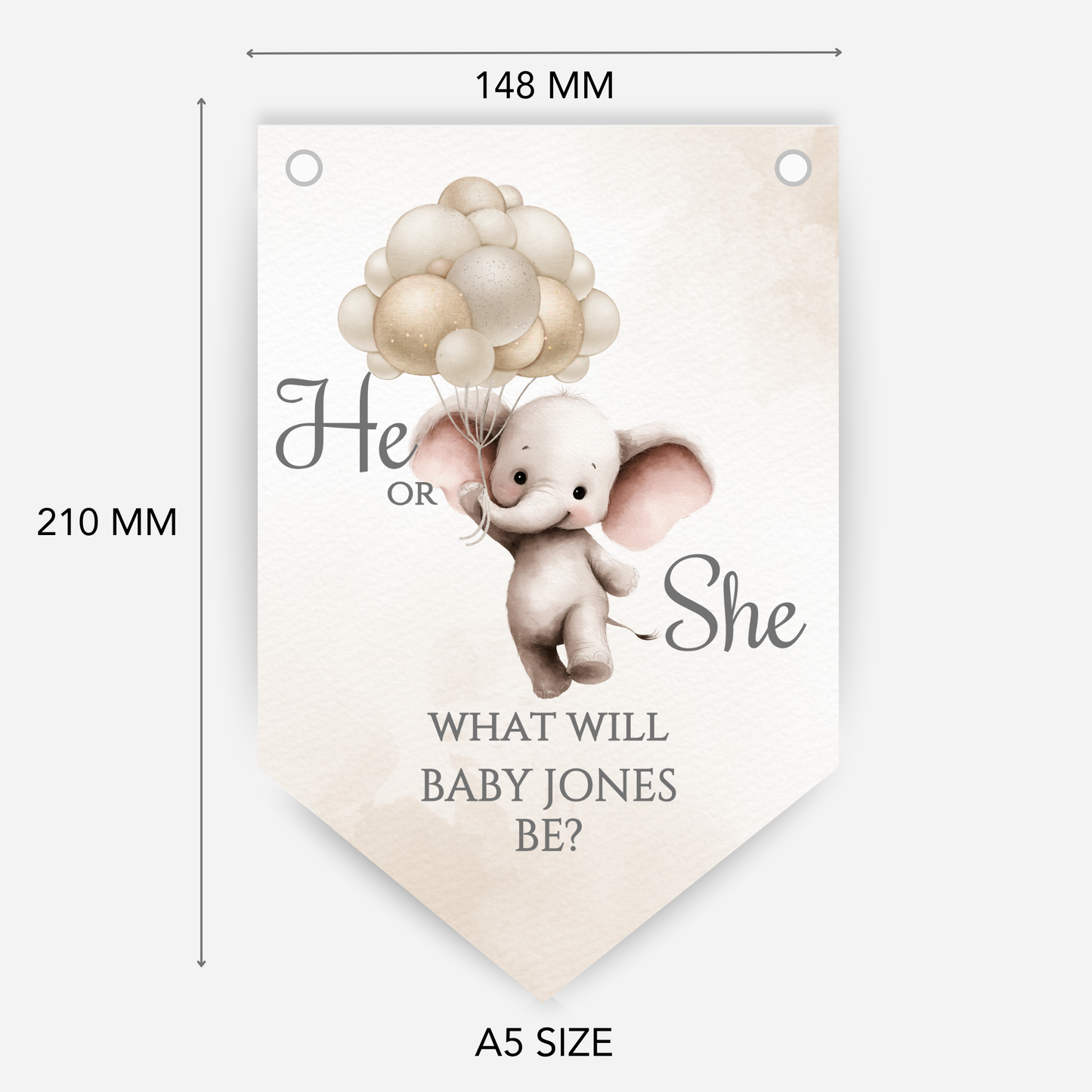 Cute Baby Elephant Gender Reveal Bunting - B265