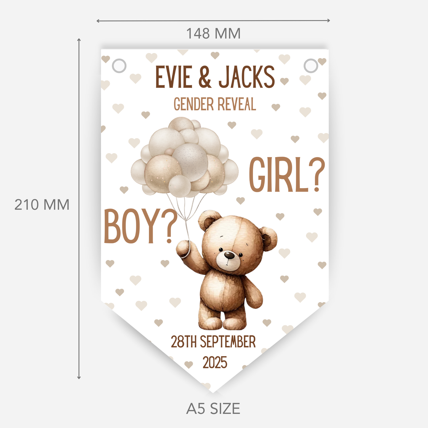 Cute Teddy Gender Reveal Bunting - B135