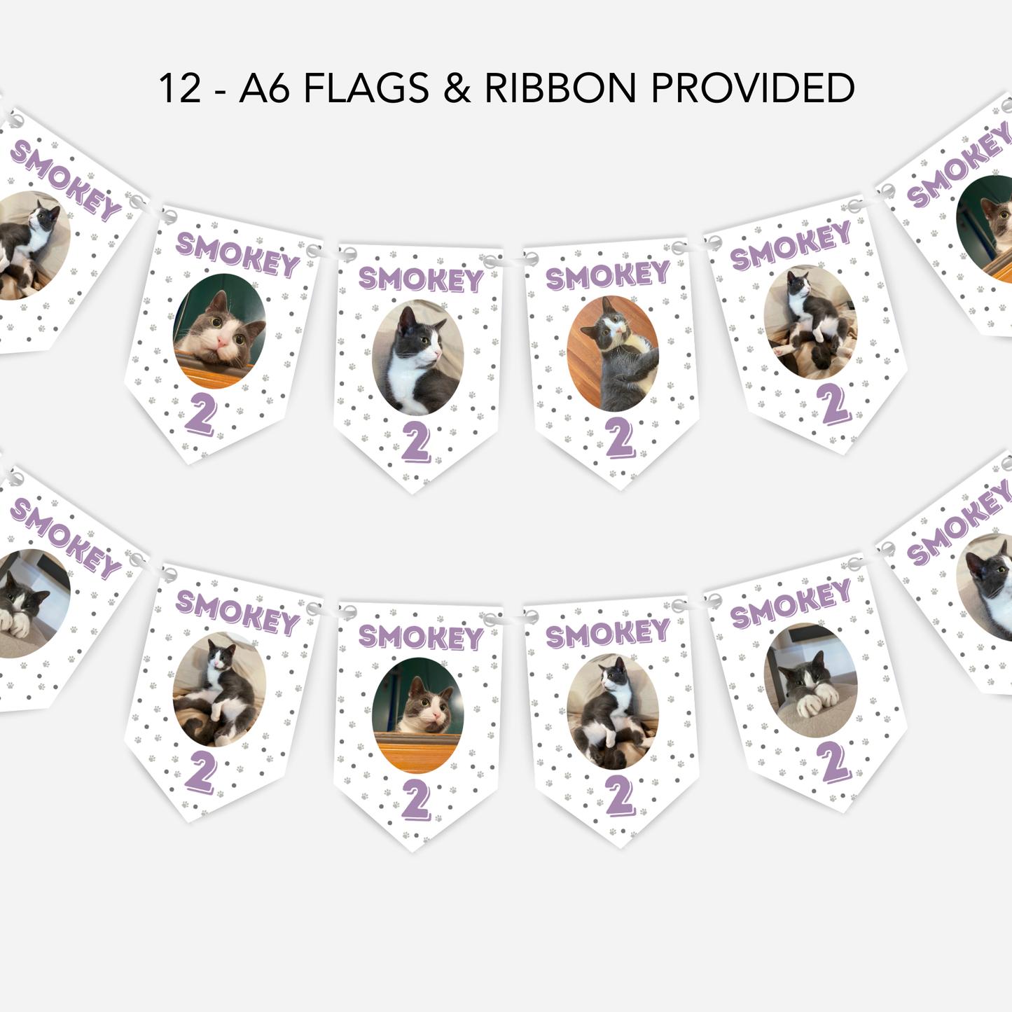 Cat Birthday Smaller Bunting - S175