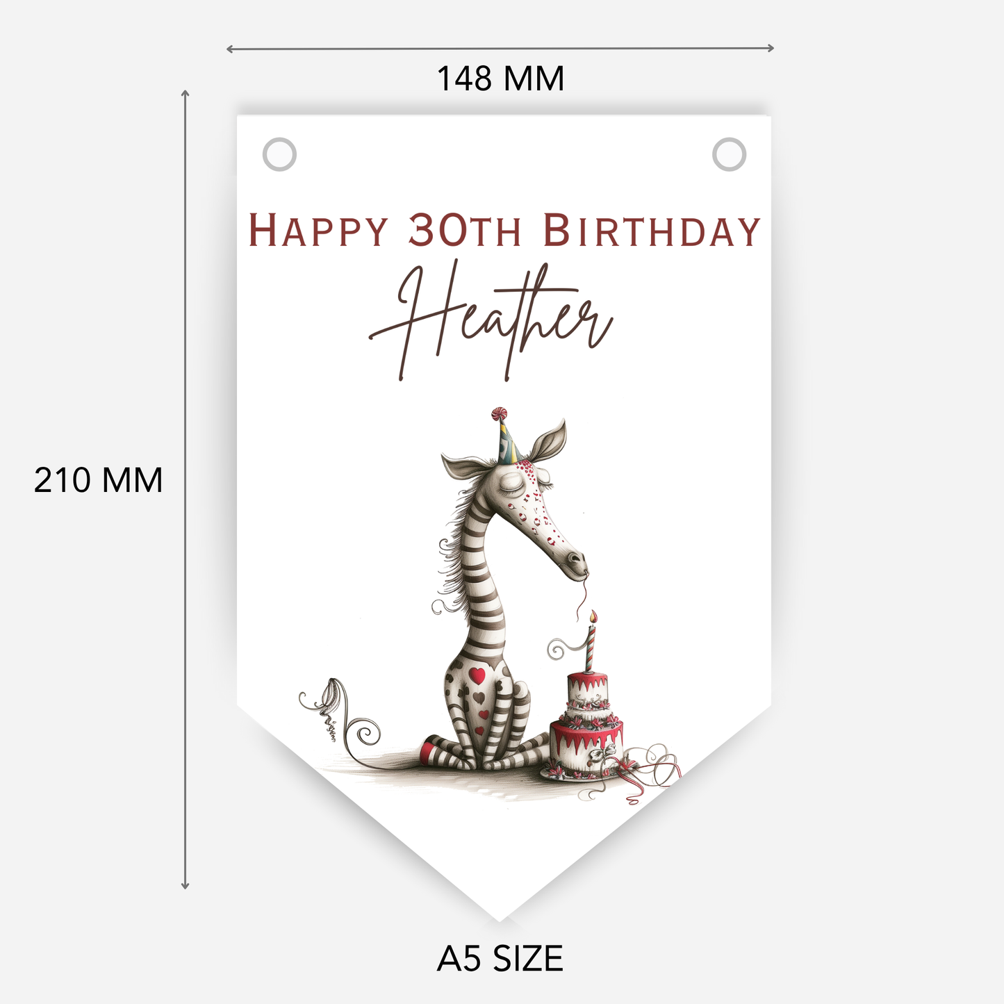 Whimsical Funny Animal Birthday Bunting - For Any Age – B200