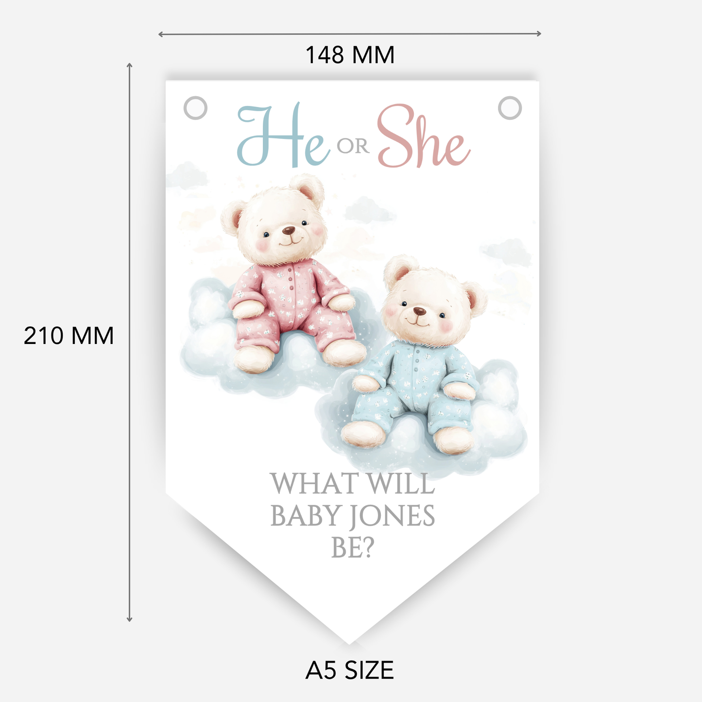 Cute Pink and Blue Teddy Bear Gender Reveal Bunting - B202