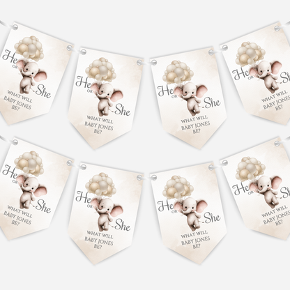 Cute Baby Elephant Gender Reveal Bunting - B265