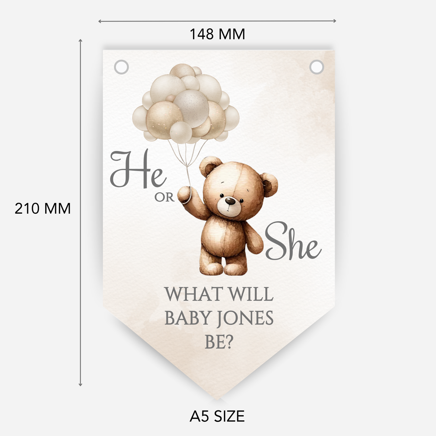 Cute Teddy Bear Gender Reveal Bunting - B113