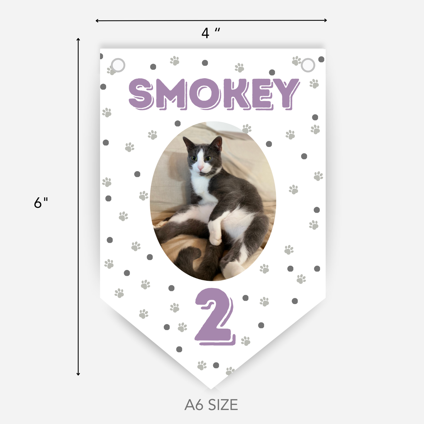 Cat Birthday Smaller Bunting - S175