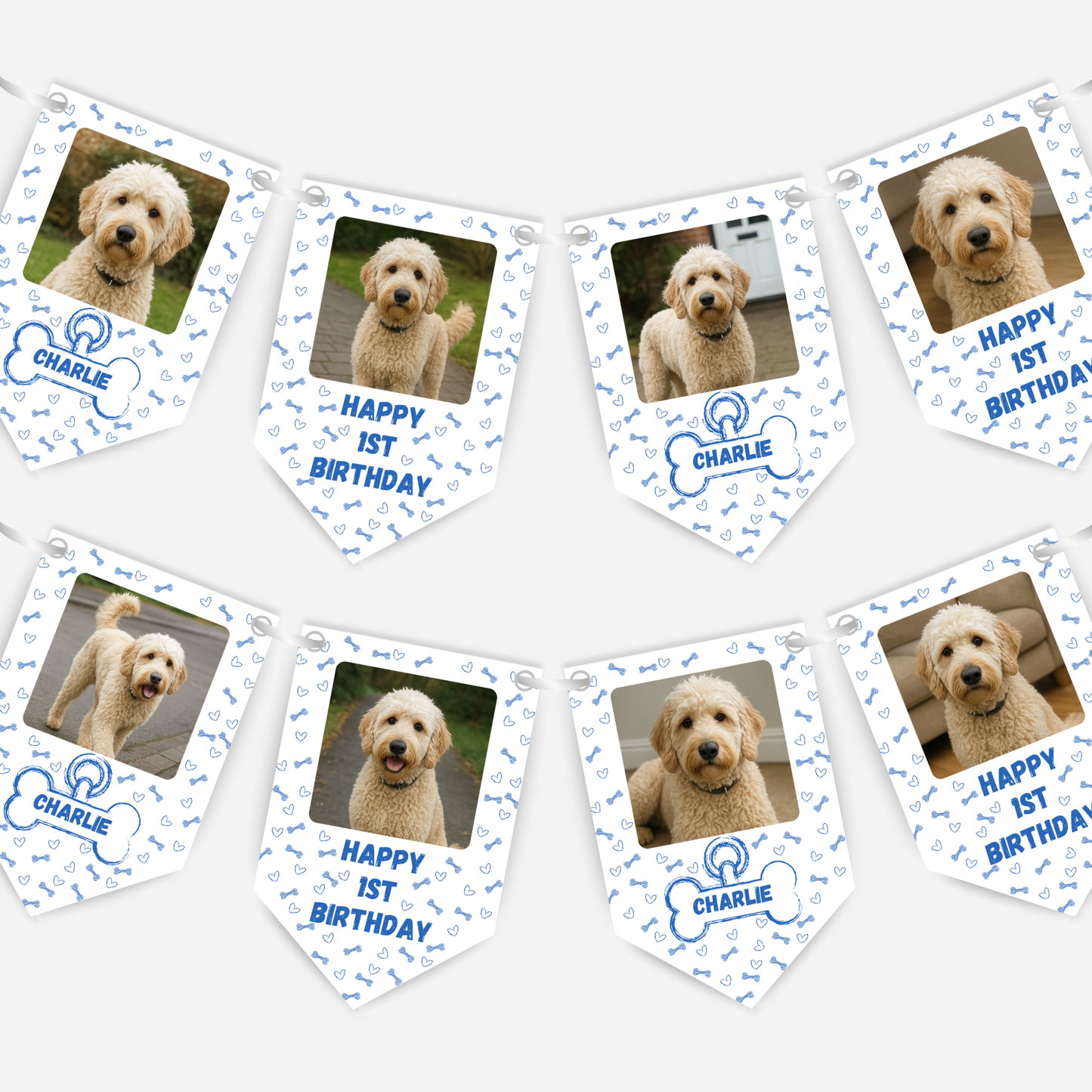 Dog Birthday Photo Bunting In Blue - B237