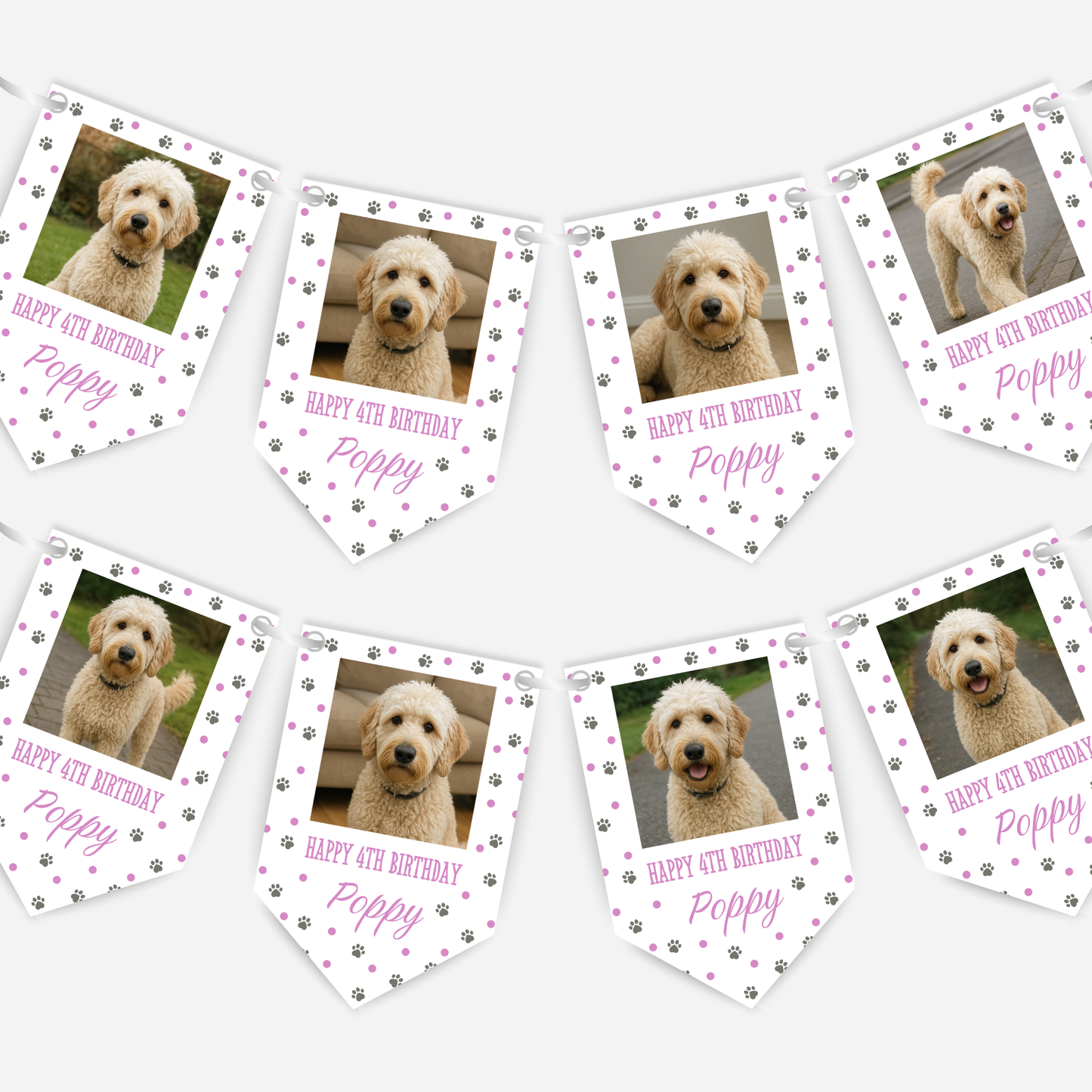 Dog Birthday Photo Bunting In Pink - B213