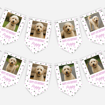 Dog Birthday Photo Bunting In Pink - B213