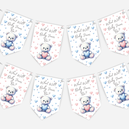 Cute Teddy Bear Blue and Pink Gender Reveal Bunting - B187