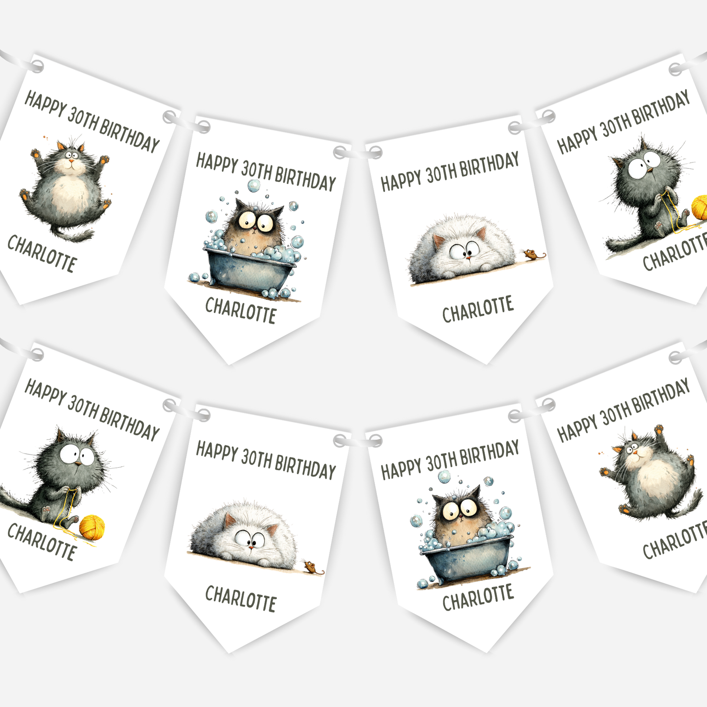 Whimsical Funny Cat Birthday Bunting - For Any Age – B260