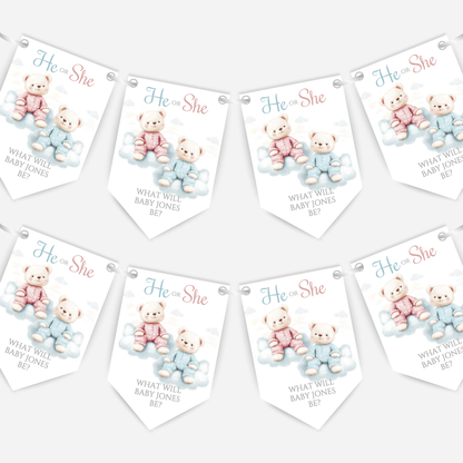 Cute Pink and Blue Teddy Bear Gender Reveal Bunting - B202