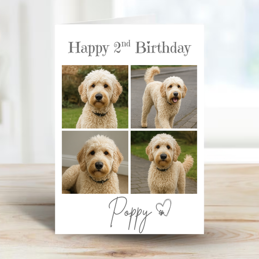 Pet Celebration Birthday Photo Card - PC18