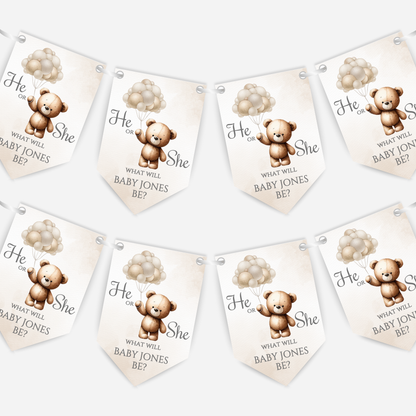 Cute Teddy Bear Gender Reveal Bunting - B113