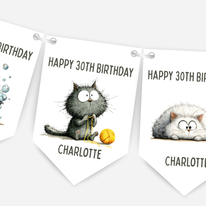 Whimsical Funny Cat Birthday Bunting - For Any Age – B260