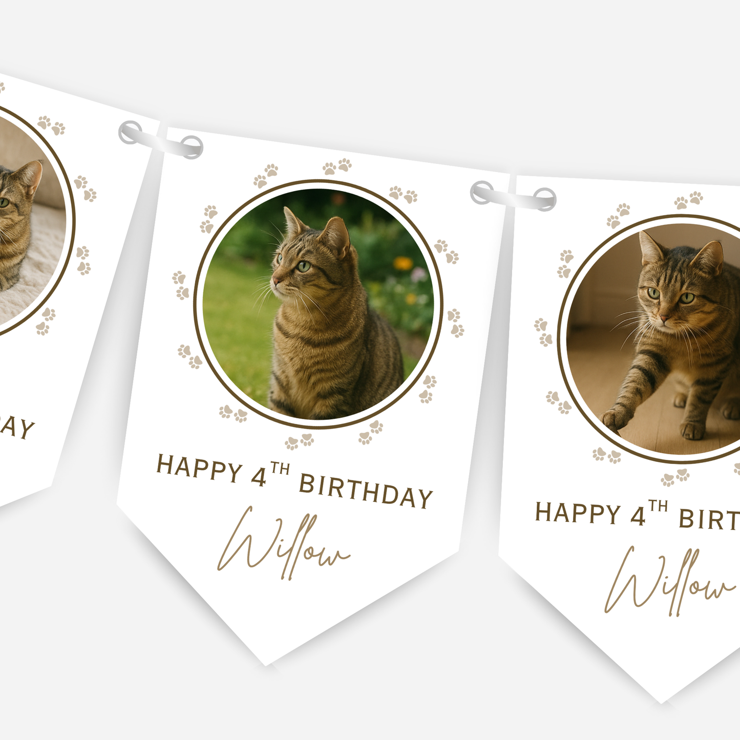Cat Birthday Photo Bunting - B215