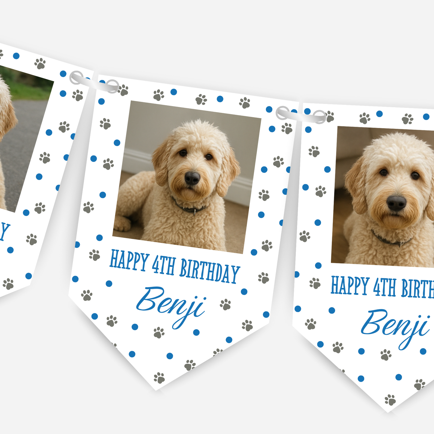 Dog Birthday Photo Bunting In Blue - B212