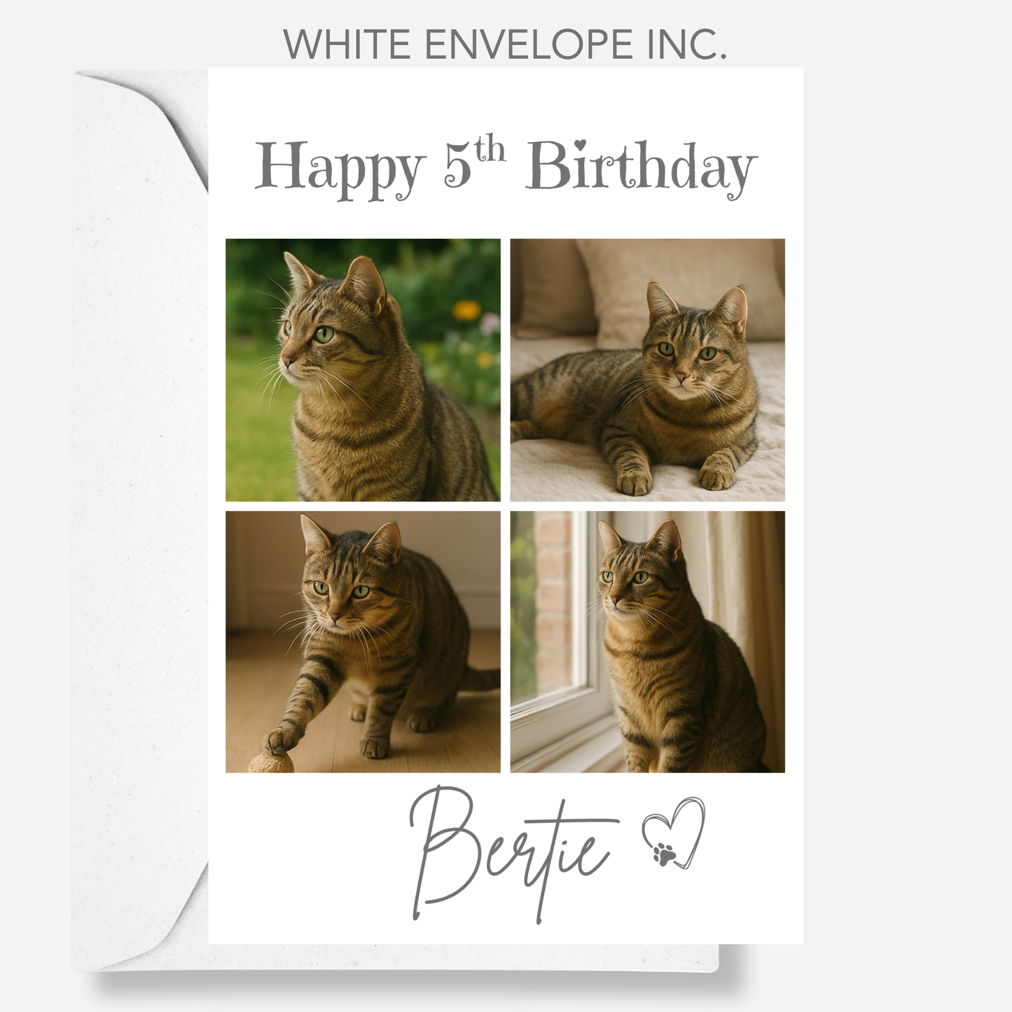Cat Celebration Birthday Photo Card - PC19