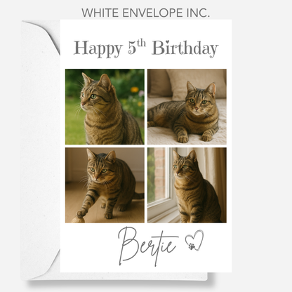 Cat Celebration Birthday Photo Card - PC19