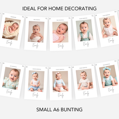 Newborn to 12 Months Milestone A6 Smaller Bunting - 1st Birthday - S199