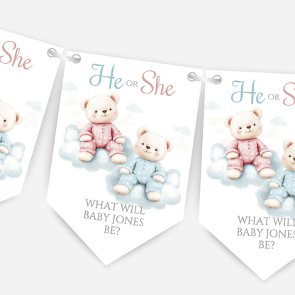 Cute Pink and Blue Teddy Bear Gender Reveal Bunting - B202