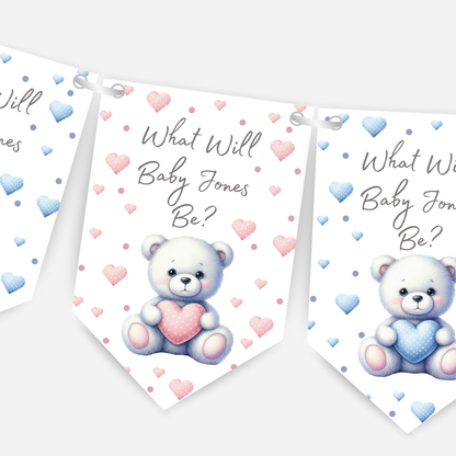 Cute Teddy Bear Blue and Pink Gender Reveal Bunting - B187