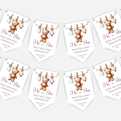 Cute Teddy Bear Gender Reveal Bunting - B188