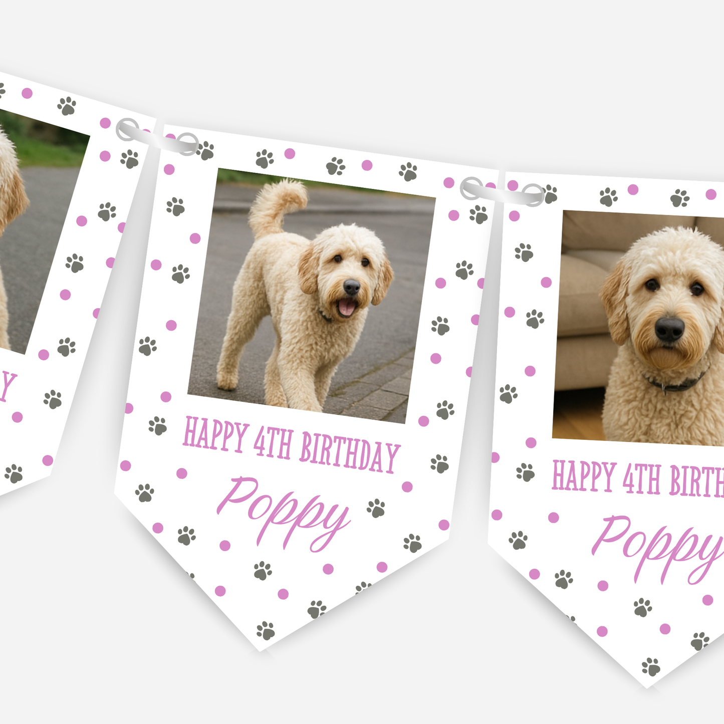 Dog Birthday Photo Bunting In Pink - B213