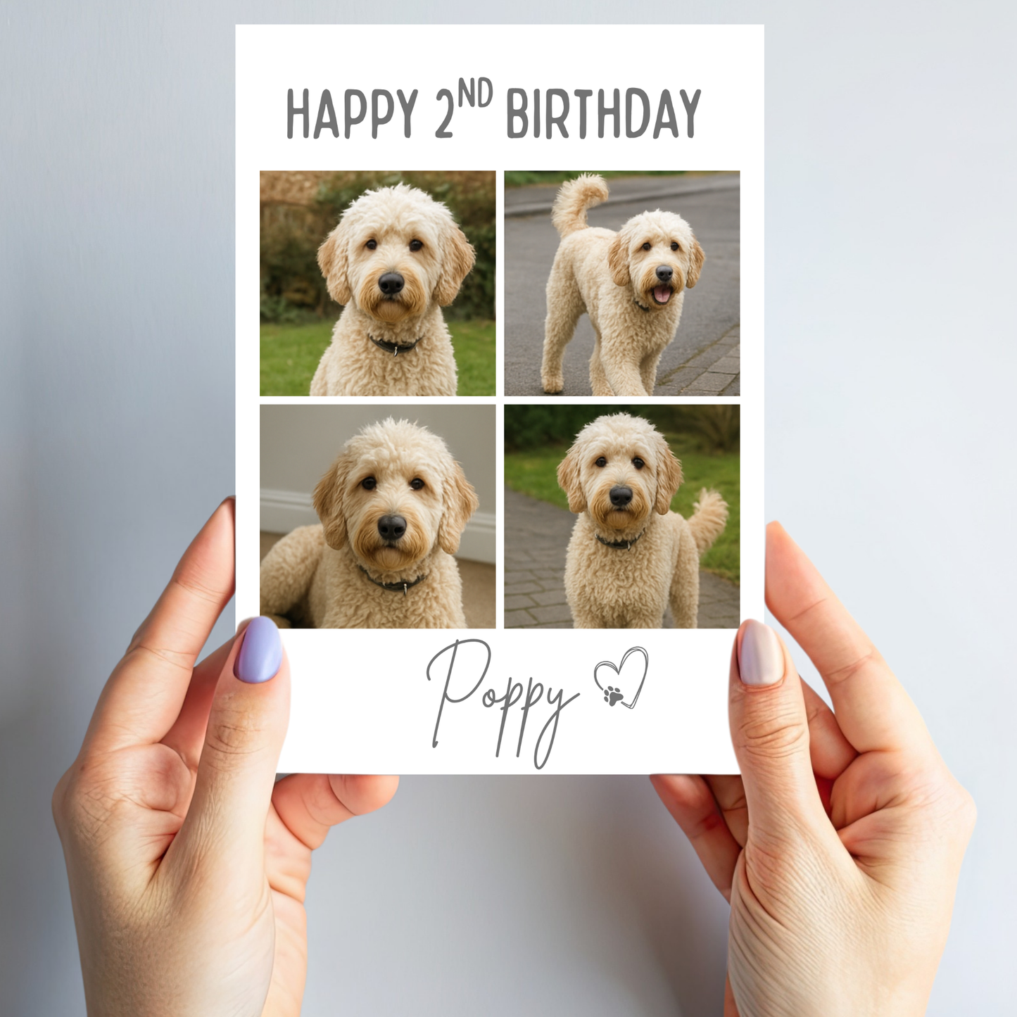 Pet Celebration Birthday Photo Card - PC18
