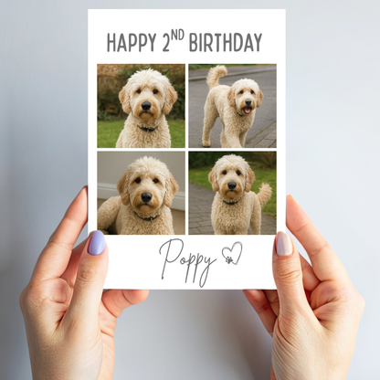 Pet Celebration Birthday Photo Card - PC18