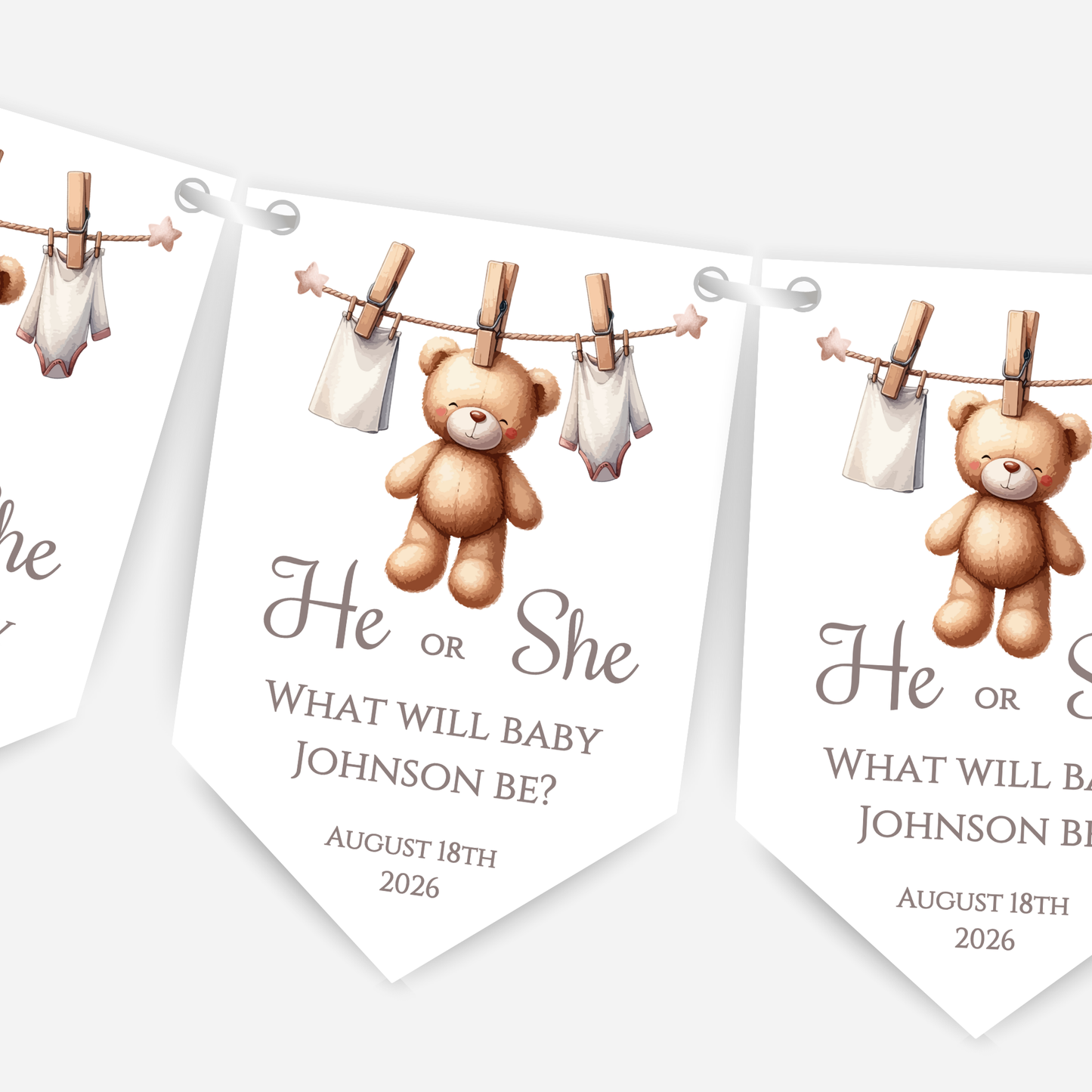Cute Teddy Bear Gender Reveal Bunting - B188