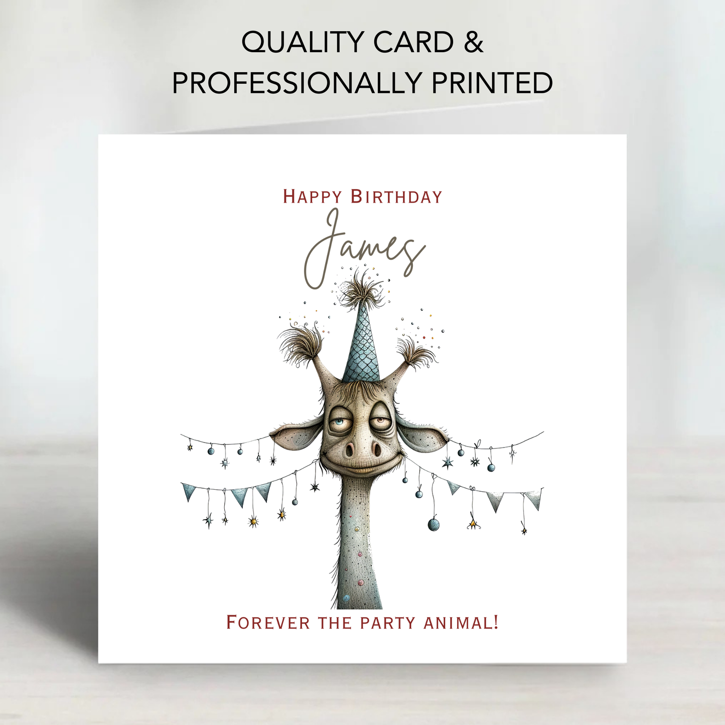 Fun Giraffe Birthday Card - C572