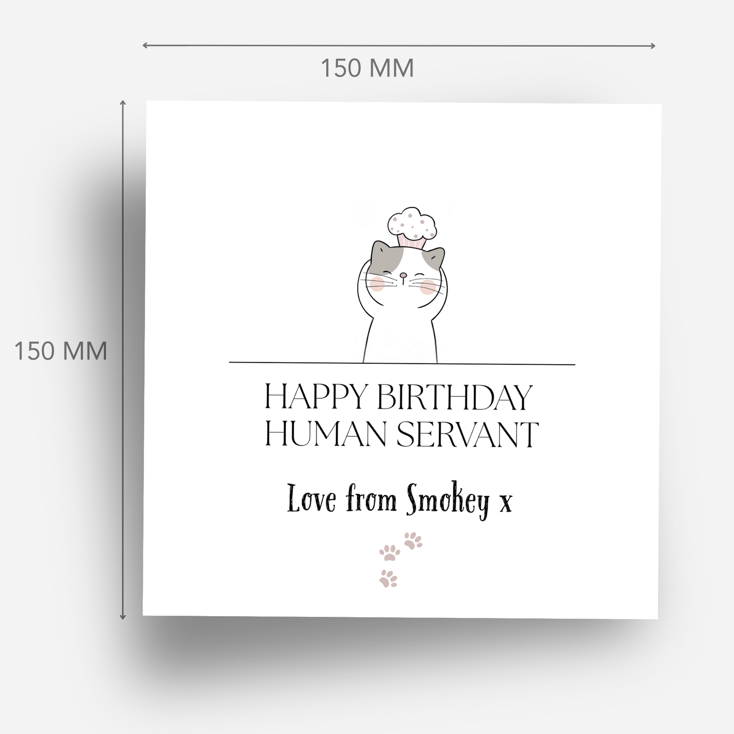 Birthday Card from the Cat - C508