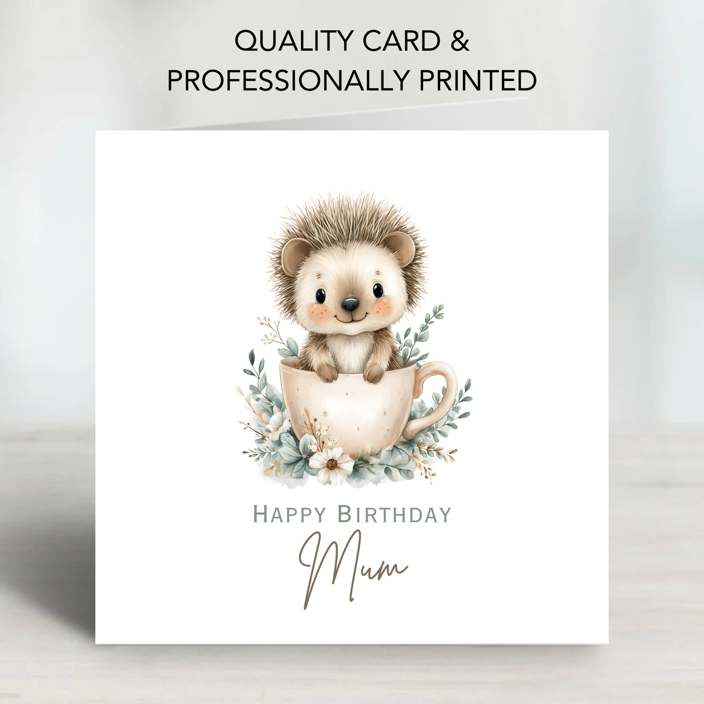 Cute Hedgehog Birthday Card - C687