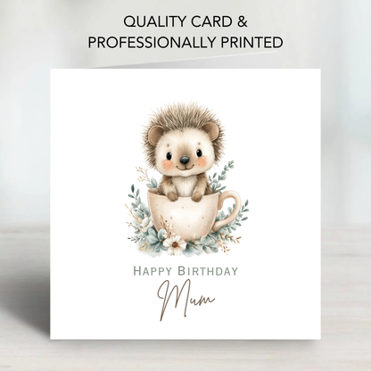 Cute Hedgehog Birthday Card - C687