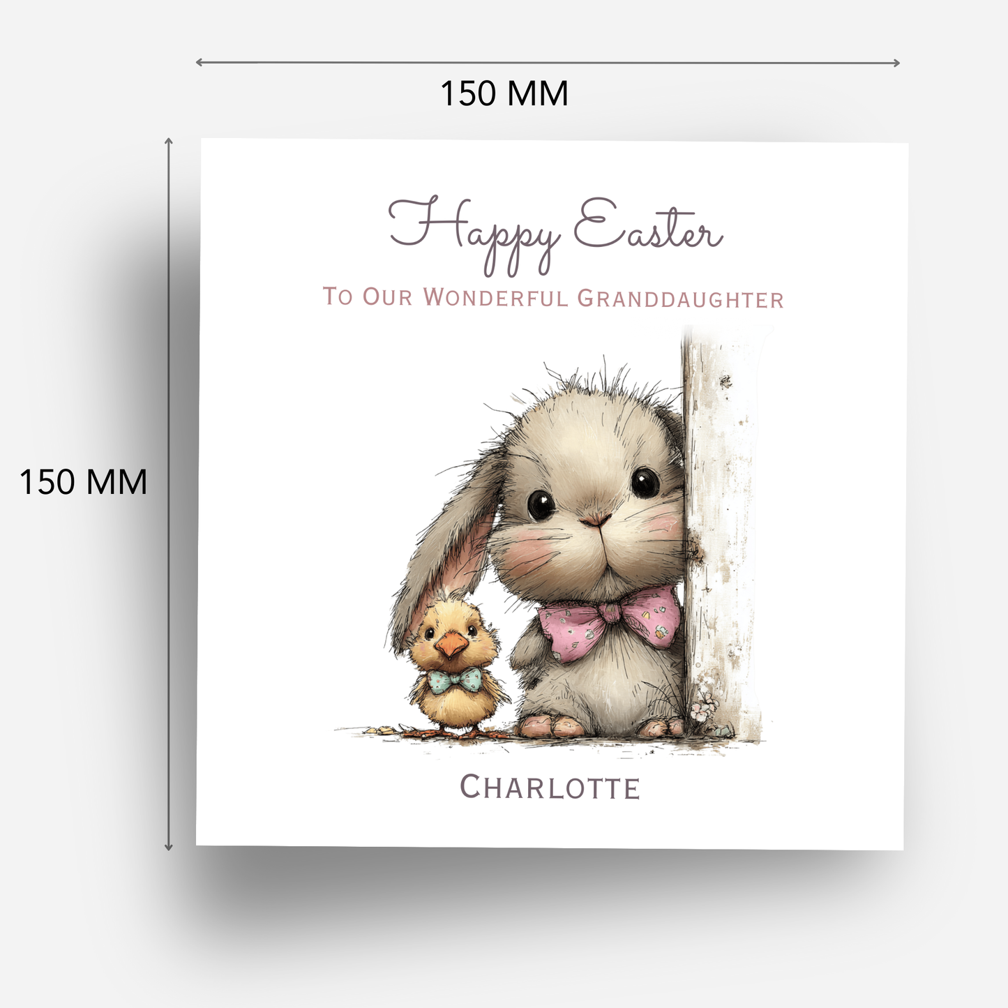 Easter Card With A Cute Bunny & Chick Design - C839