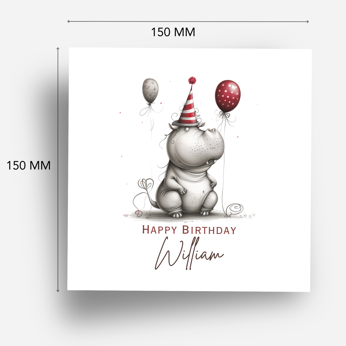 Fun Hippo Birthday Card - C568