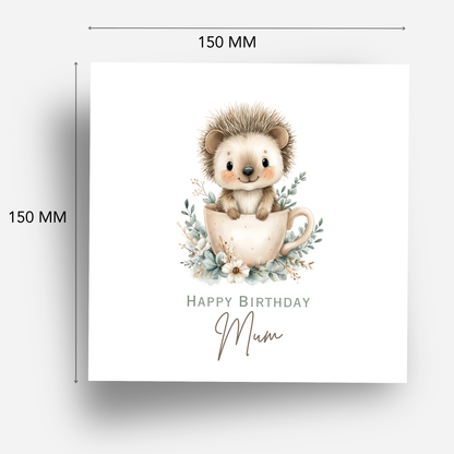 Cute Hedgehog Birthday Card - C687