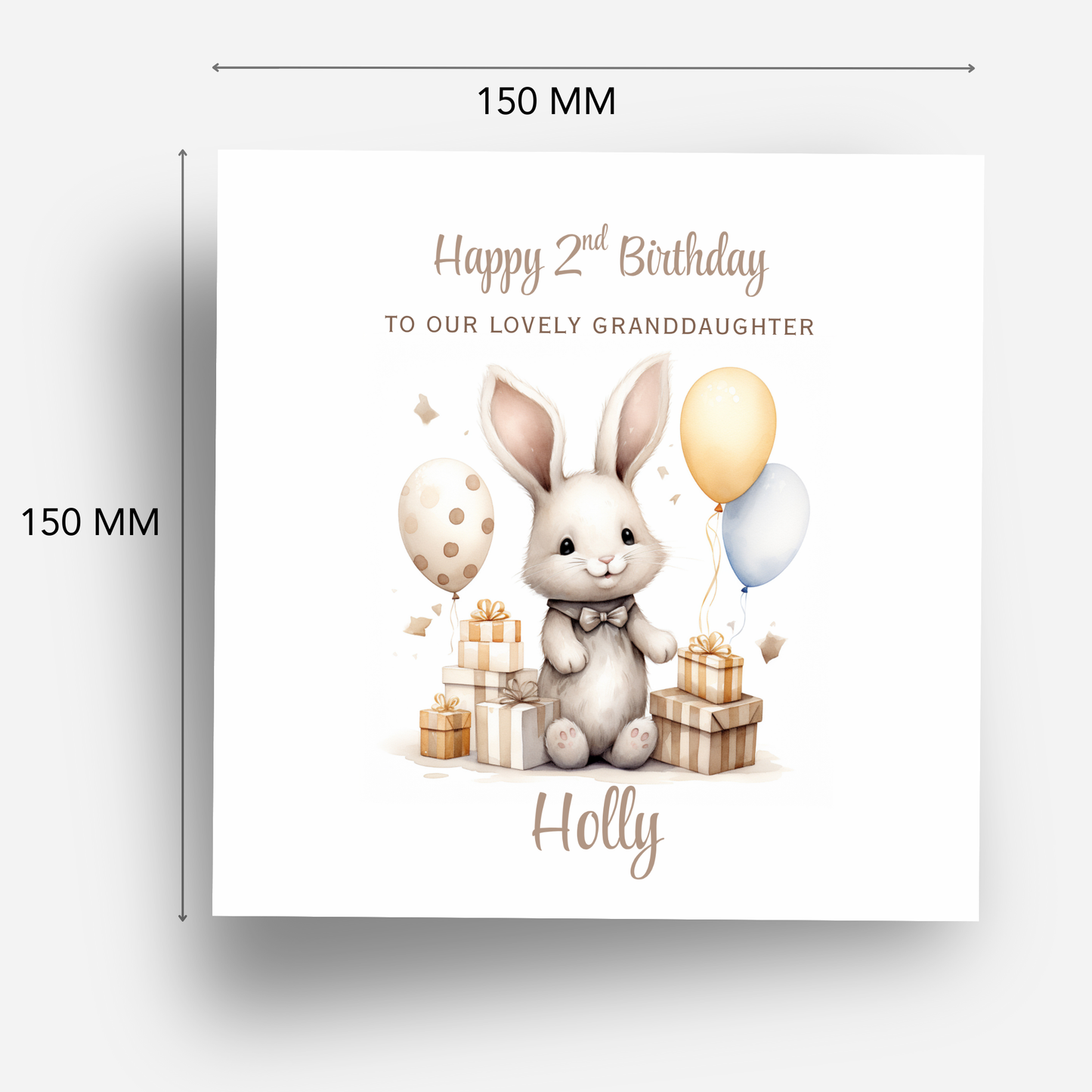 Bunny and presents Birthday Card - C558