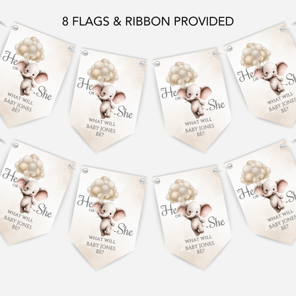Cute Baby Elephant Gender Reveal Bunting - B265
