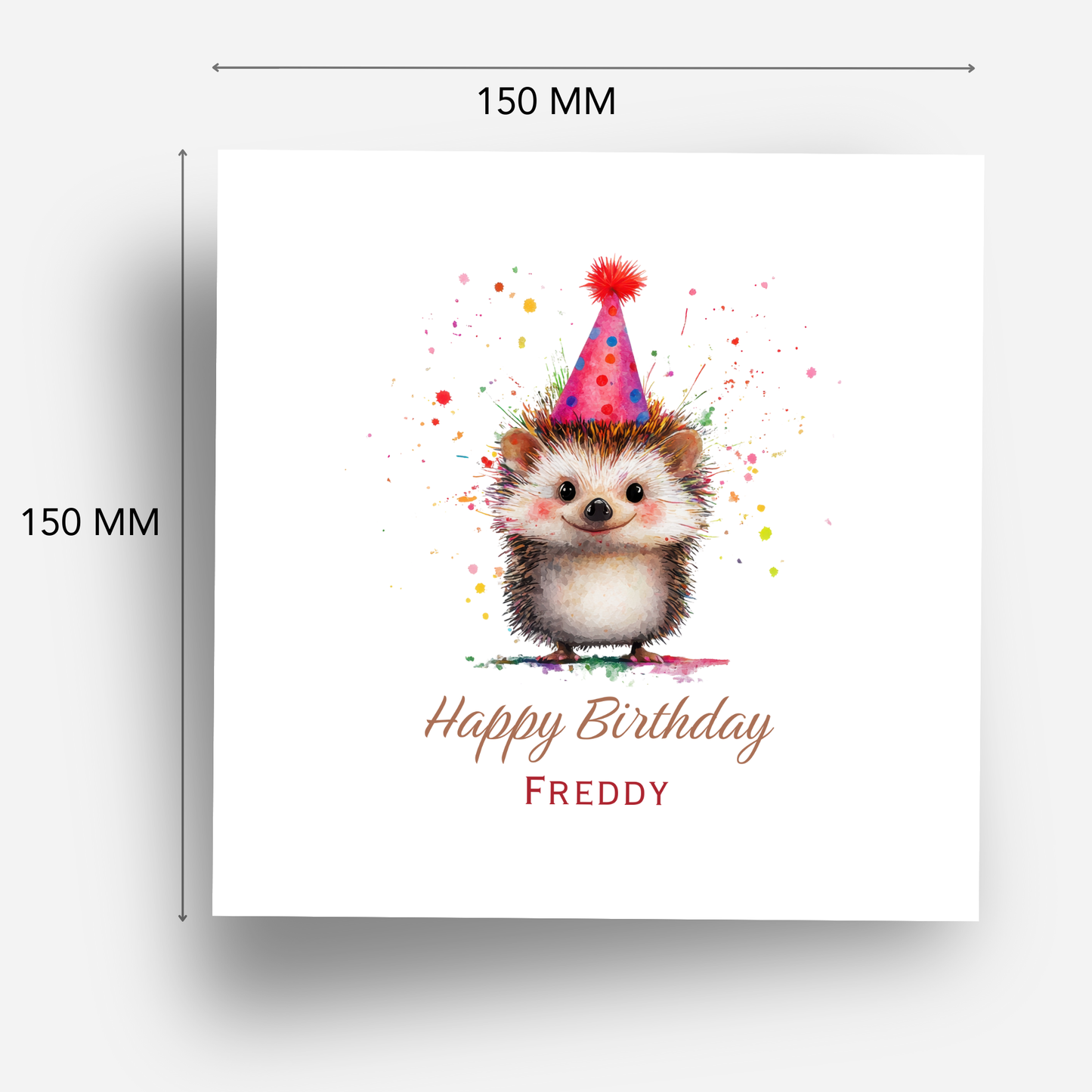 Fun Cute Hedgehog - C554