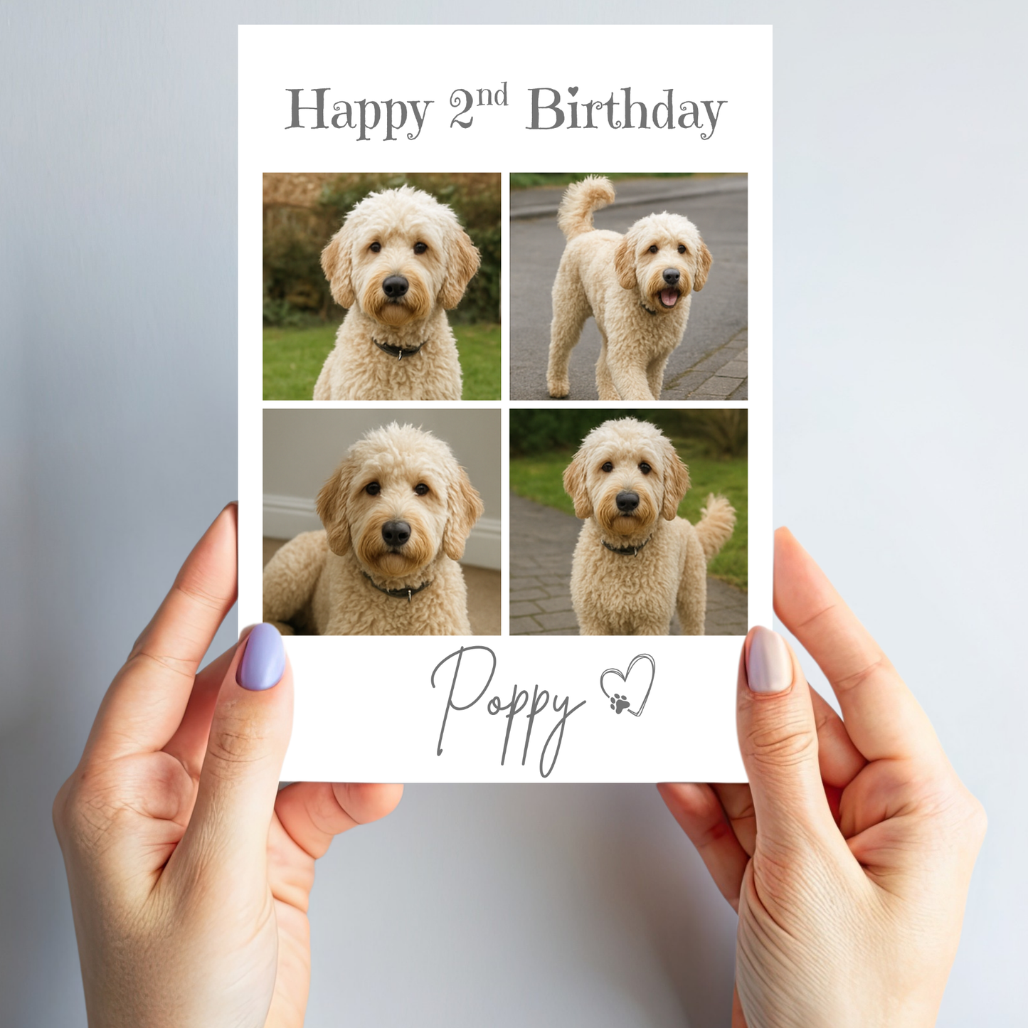Pet Celebration Birthday Photo Card - PC18