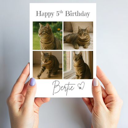 Cat Celebration Birthday Photo Card - PC19
